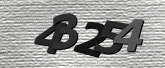 Obraz captcha