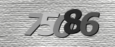 Obraz captcha