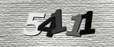 Obraz captcha