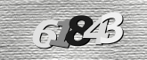 Obraz captcha