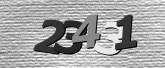 Obraz captcha