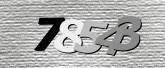Obraz captcha