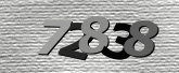 Obraz captcha