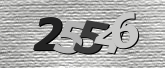 Obraz captcha