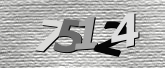 Obraz captcha