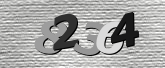 Obraz captcha
