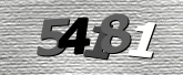 Obraz captcha