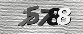 Obraz captcha