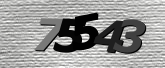 Obraz captcha