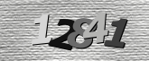 Obraz captcha