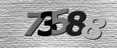 Obraz captcha