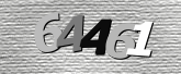 Obraz captcha