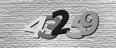 Obraz captcha