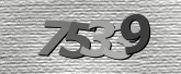 Obraz captcha