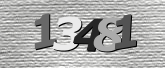 Obraz captcha
