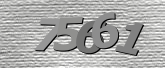 Obraz captcha