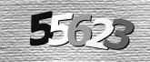 Obraz captcha