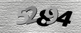 Obraz captcha