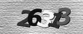 Obraz captcha