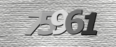 Obraz captcha