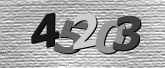 Obraz captcha