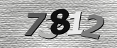Obraz captcha