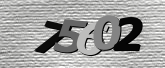 Obraz captcha