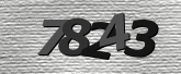 Obraz captcha