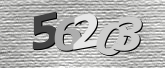 Obraz captcha