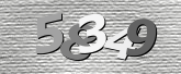 Obraz captcha