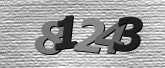 Obraz captcha