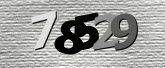 Obraz captcha