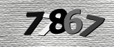 Obraz captcha