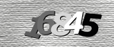 Obraz captcha