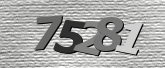 Obraz captcha
