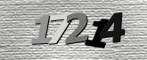 Obraz captcha