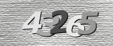 Obraz captcha
