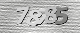 Obraz captcha