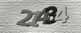 Obraz captcha