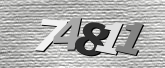 Obraz captcha
