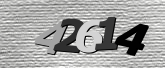Obraz captcha