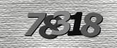 Obraz captcha