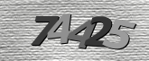Obraz captcha