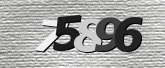 Obraz captcha