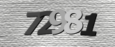 Obraz captcha