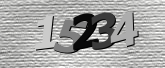 Obraz captcha