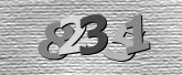 Obraz captcha