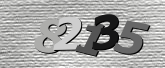 Obraz captcha