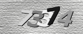 Obraz captcha
