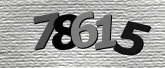 Obraz captcha